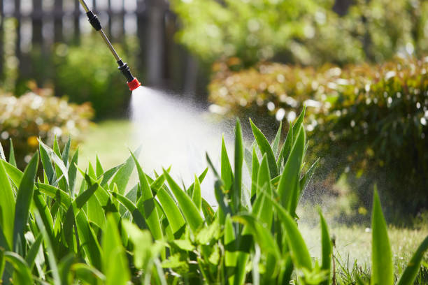 24/7 Emergency Fumigation Services experts in Los Banos, CA