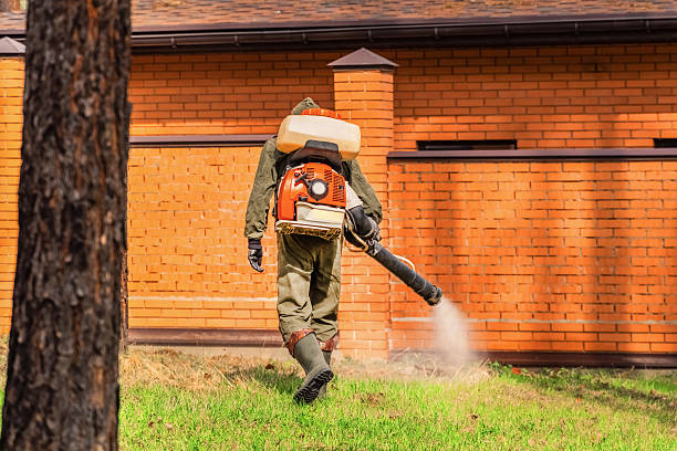 Trusted Rodent Control service in Los Banos, CA - Nex Pest Control